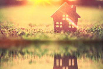 Cardboard house in a filed with the sun shining through its windows